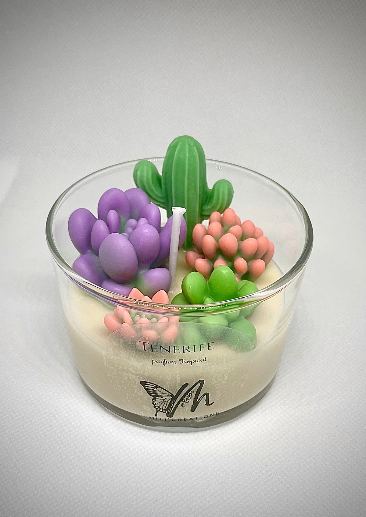 Bougie artisanale Tenerife jardin miniature cactus et succulentes fait main Mileïdi Créations